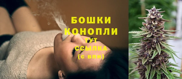 apvp Дмитровск