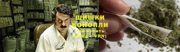 сатива Дмитриев