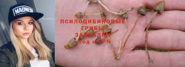 сатива Дмитриев