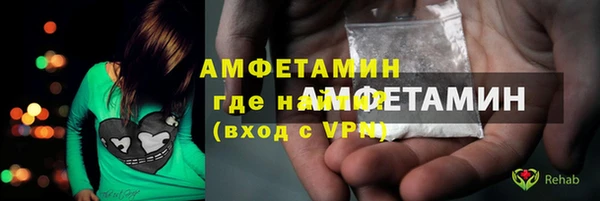 сатива Дмитриев