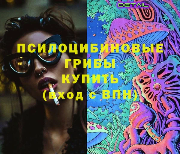 apvp Дмитровск