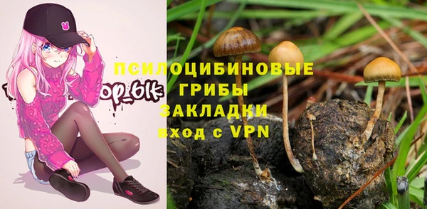 гашик Кущёвская