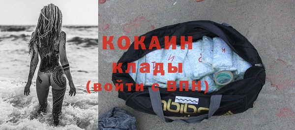 гашик Кущёвская