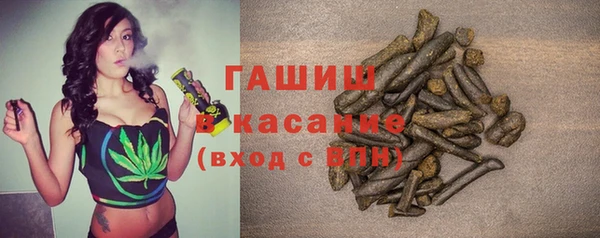 сатива Дмитриев
