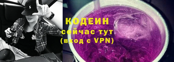 сатива Дмитриев